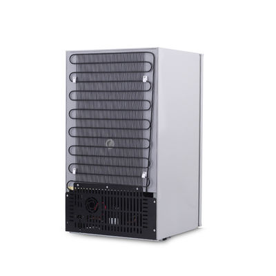 Refrigerador 12v Refrigerador de coche LEAPCOOL Dc compressor caja de enfriador para viaje de campamento o RV
