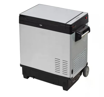 Refrigerador solar portátil de compresor con capacidad de 50L y voltaje DC12V/24V o 110V-240V