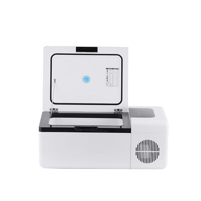 Refrigerador portátil de color personalizado 15L para campistas Mantenga su comida fresca y fría en cualquier lugar